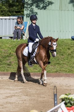 Bild 317 - Pony Akademie Turnier